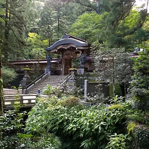 IMG_20181103_104838023.jpg