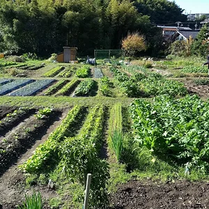 winter gardens.jpg