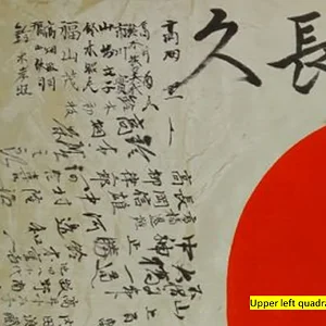 JYH Flag 05 ulc.PNG
