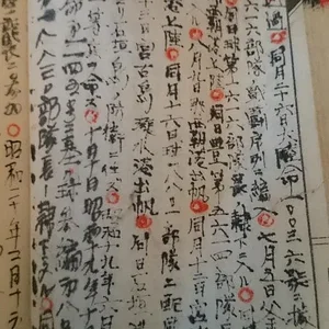 thumbnail (9).jpg