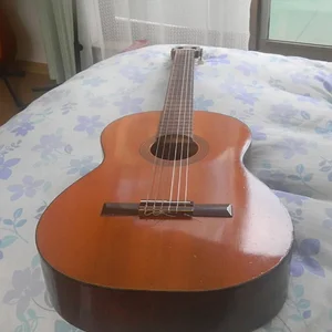 Zen-on guitar.JPG