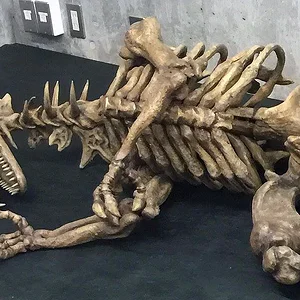 bones.jpg