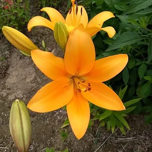 IMG_20190621_094242993.jpg