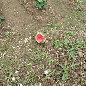 IMG_20190720_110824575.jpg