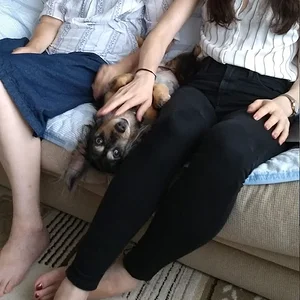 Screen Shot 2019-08-23 at 8.04.27.png