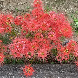 IMG_20191002_082722681.jpg