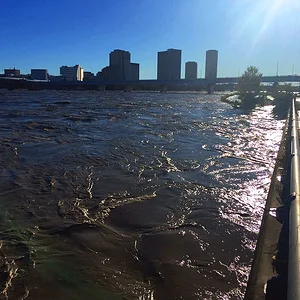 tamagawa02_12102019.jpg