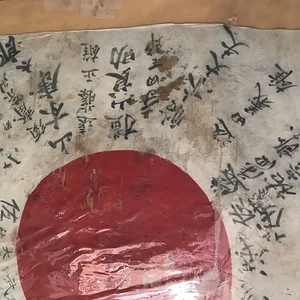 9japaneseflag2.jpg
