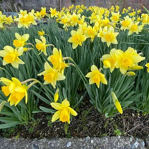 IMG_0157.jpeg