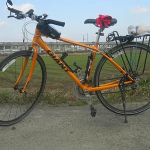 9 bike w shinkansen.JPG