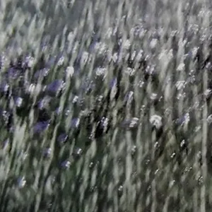 k3.jpg