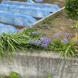 IMG_0224.jpeg