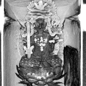 monju-bosatsu01.jpg