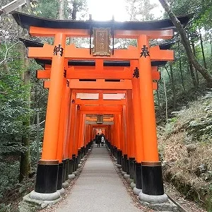 torii.jpg