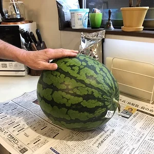12337817913601.jpg