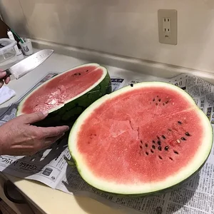 12337817945498.jpg