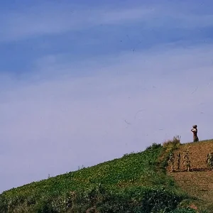 woman-sky.jpg