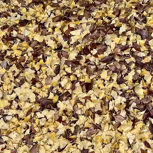 IMG_0457.jpeg