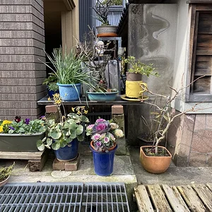 niche still life.jpeg