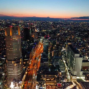 Shibuya The Roof