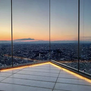 Shibuya The Roof