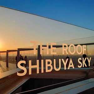 Shibuya The Roof