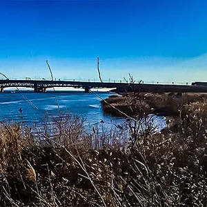 arakawa-2.jpg