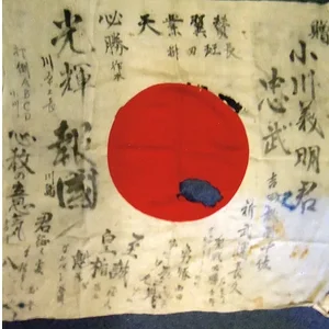 entire flag 3.jpg