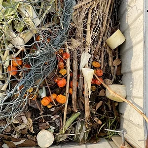 compost-2.jpeg