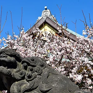 Yushima Tenmangu