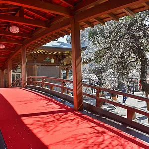 Yushima Tenmangu