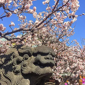 yushima-tenmangu-2.jpg