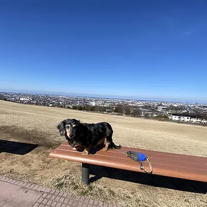 Nala blue sky.jpeg