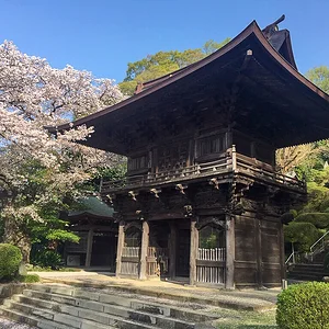 sakura-2021-13.jpg