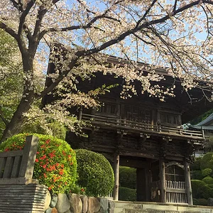 sakura-2021-15.jpg