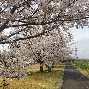 sakura-2021-04.jpg