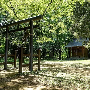 Takiyama Castle Ruins