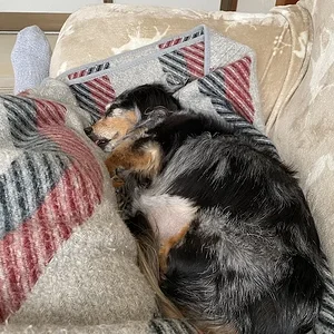 on the couch.jpeg