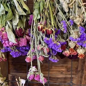 dried flowers.jpeg