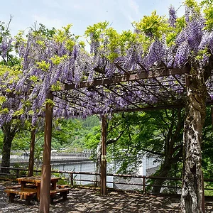 Lake Okutama