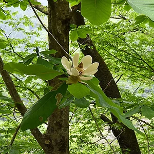 okutama01-2.jpg