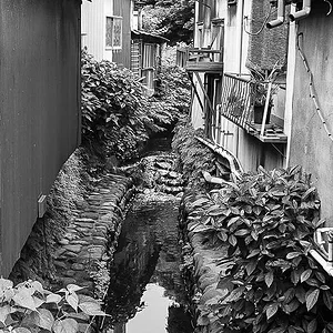 komachi-street-2a.jpeg