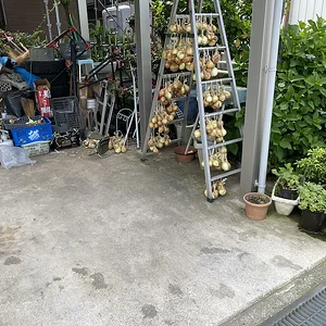 onion ladder.jpeg