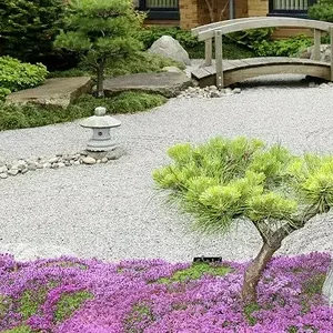 manchester-hospice-garden.jpg