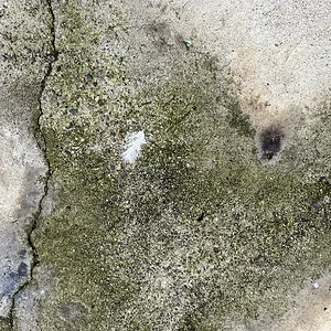abstract, with feather.jpeg