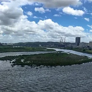 tama-panorama-18082021.jpg