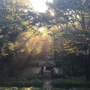 misty-park.jpg