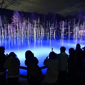 blue-pond-night-illumination.jpg