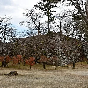 Matsusaka Castle