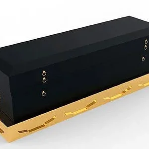 asuka-coffin.jpg